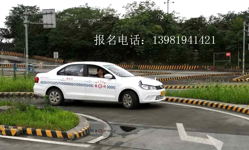 暑假学车